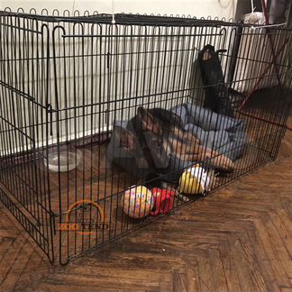 Вольер для собак / кошек / кроликов, высота 70 см