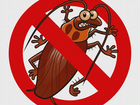 Уничтожение тараканов, клопов и других паразитов