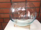 Круглый аквариум шар 20 литров объявление продам