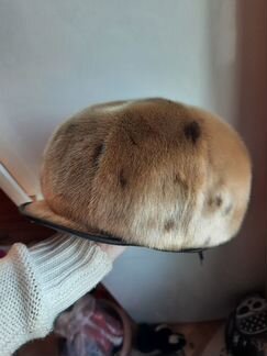 Меховая кепка из нерпы новая