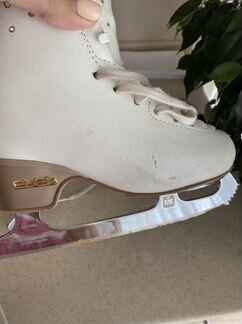 Коньки edea overture