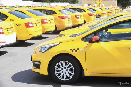 Водитель на новые Kia Rio