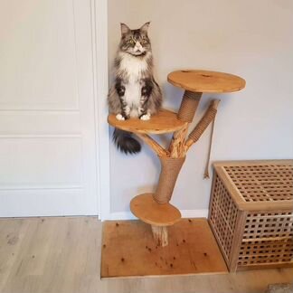 Когтеточки из дерева