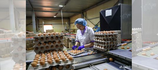 Ул винокурова 113 новочебоксарск. Вакансии в новочебоксарс. Ищу подработку в новочебоксарске. Работа в канаше вакансии. Работа в новочебоксарске от прямых.