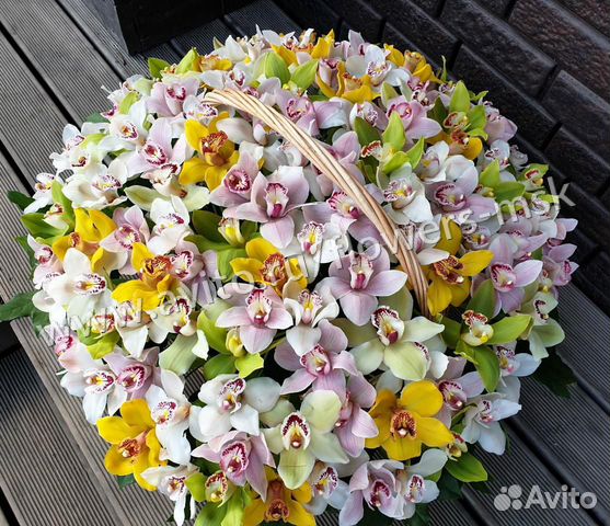 Орхидеи в корзине 111 штук купить на Зозу.ру - фотография № 1