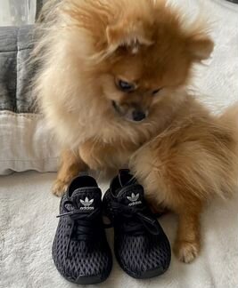 Кроссовки adidas originals deerupt для мальчика