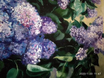 Картина маслом. Цветы. Сирень. 35х50