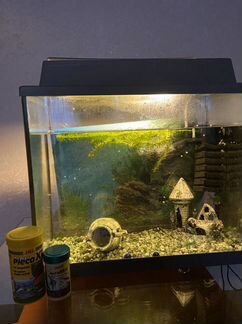 Аквариум